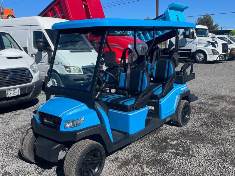 Carro Golf